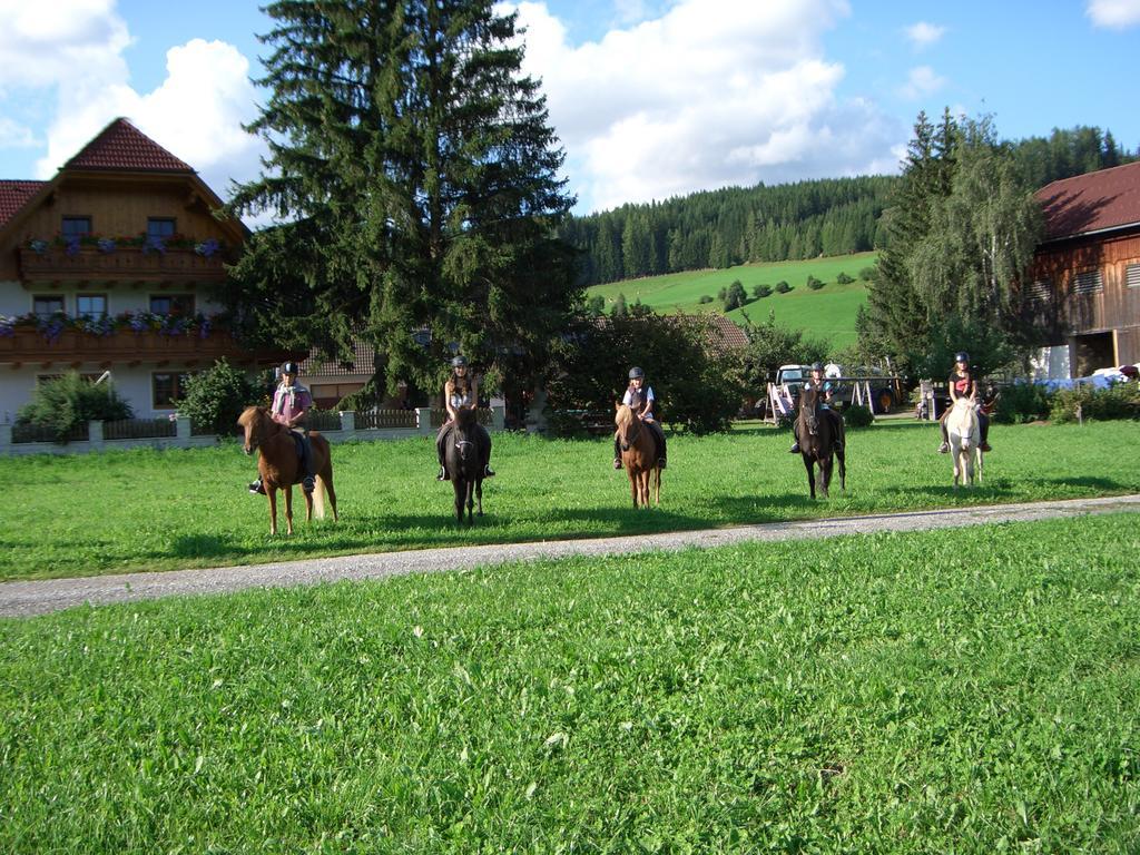 Вілла Bio Bauernhof Schoberhof Sankt Andra im Lungau Екстер'єр фото