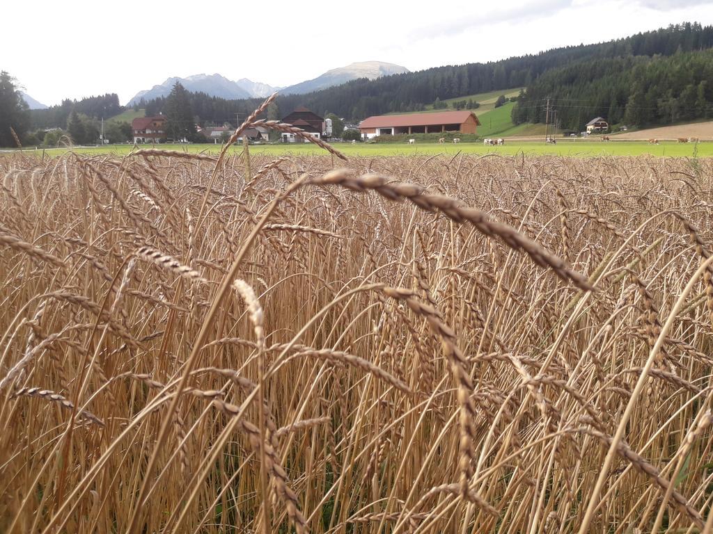 Вілла Bio Bauernhof Schoberhof Sankt Andra im Lungau Екстер'єр фото